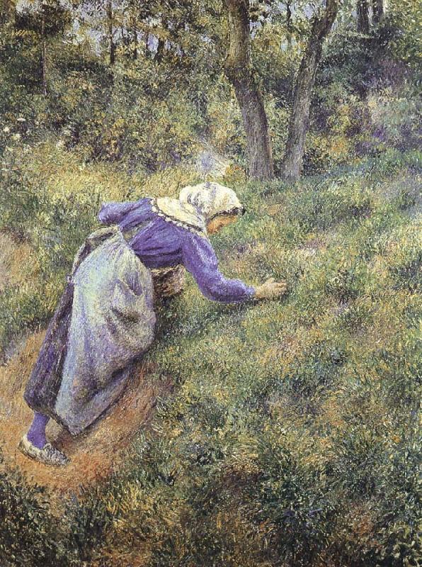 Camille Pissarro Collect grass France oil painting art
